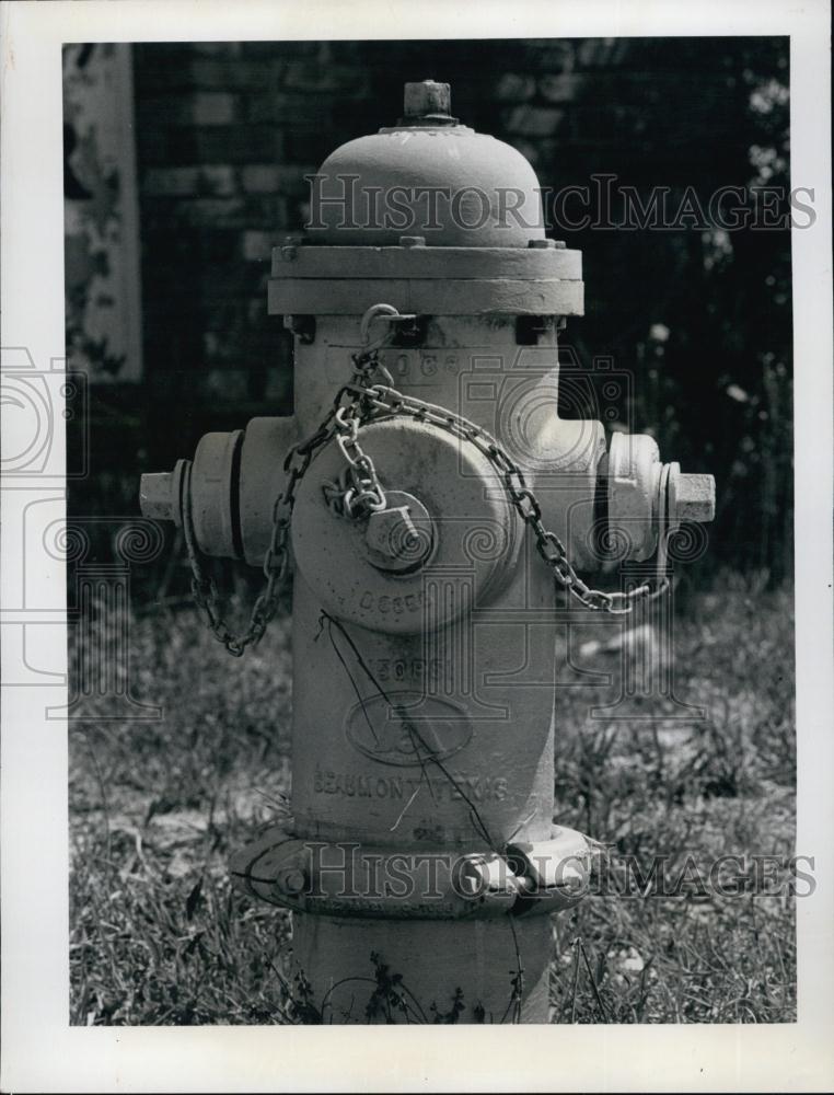 1976 Press Photo Fire Hydrant with surrounded with chain - RSL64683 - Historic Images