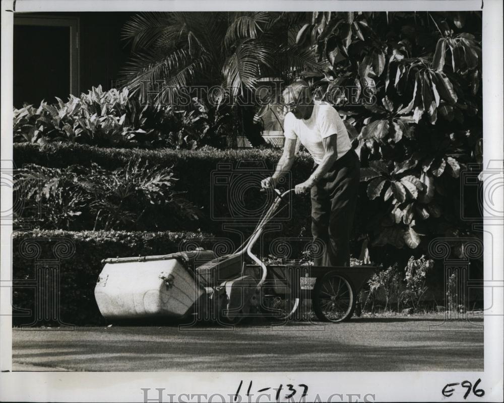 1979 Press Photo Luis Eucker Lawn Mower with a Wagon Behind - RSL96877 - Historic Images