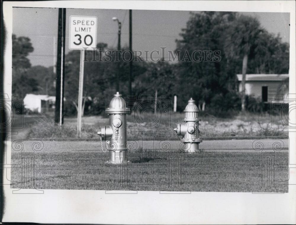 1968 Press Photo Two fire hydrants on corner in St Pete, Florida - RSL69485 - Historic Images