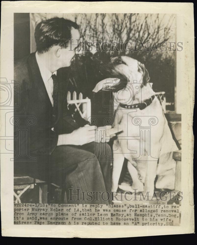 Press Photo Blazes, Colonel Elliot Roosevelt&#39;s &amp; Wife Faye Emerson&#39;s Dog - Historic Images