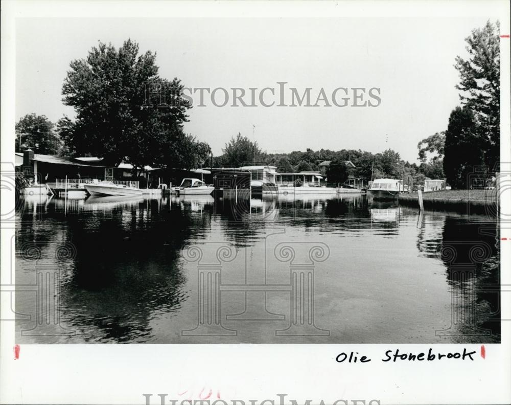 1984 Press Photo Weeki Wachee River hundreds homes yards river crammed - Historic Images