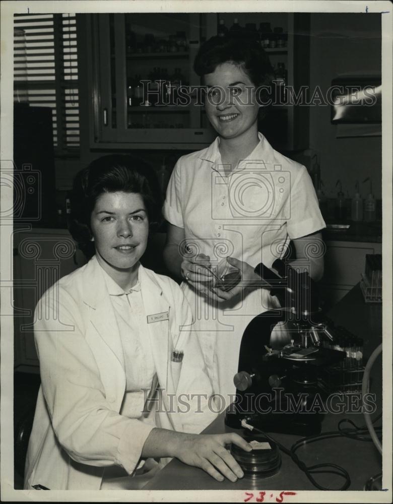 1964 Press Photo Mary Anne Griffith, Sue Ballard, Scientist, Bacteria - Historic Images