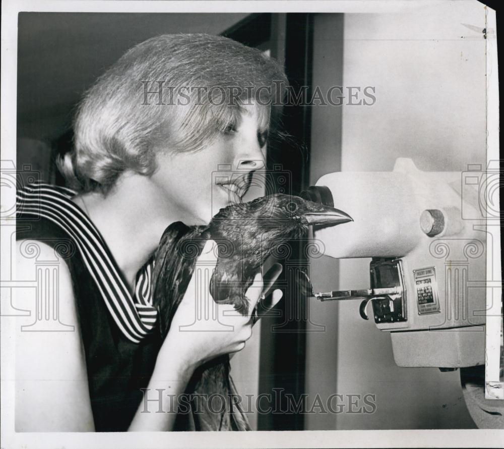1965 Press Photo Phyllis Lineman,promote preservation of crows - RSL00237 - Historic Images