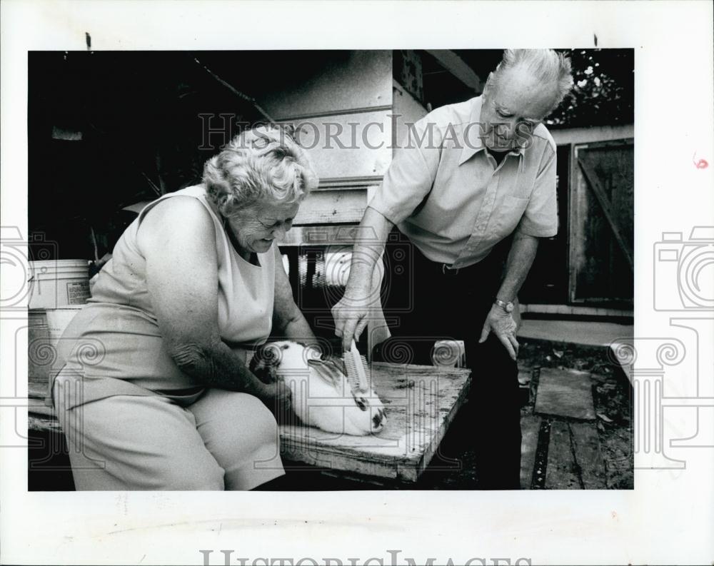 1982 Press Photo Richard and Mabel Davis groom rabbit from their menagerie - Historic Images