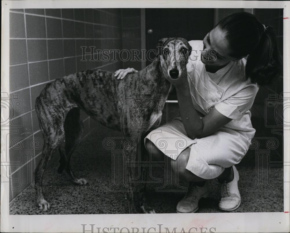 1963 Press Photo Nurse Betty Wadkins &amp; Lucky the greyhound - RSL98531 - Historic Images