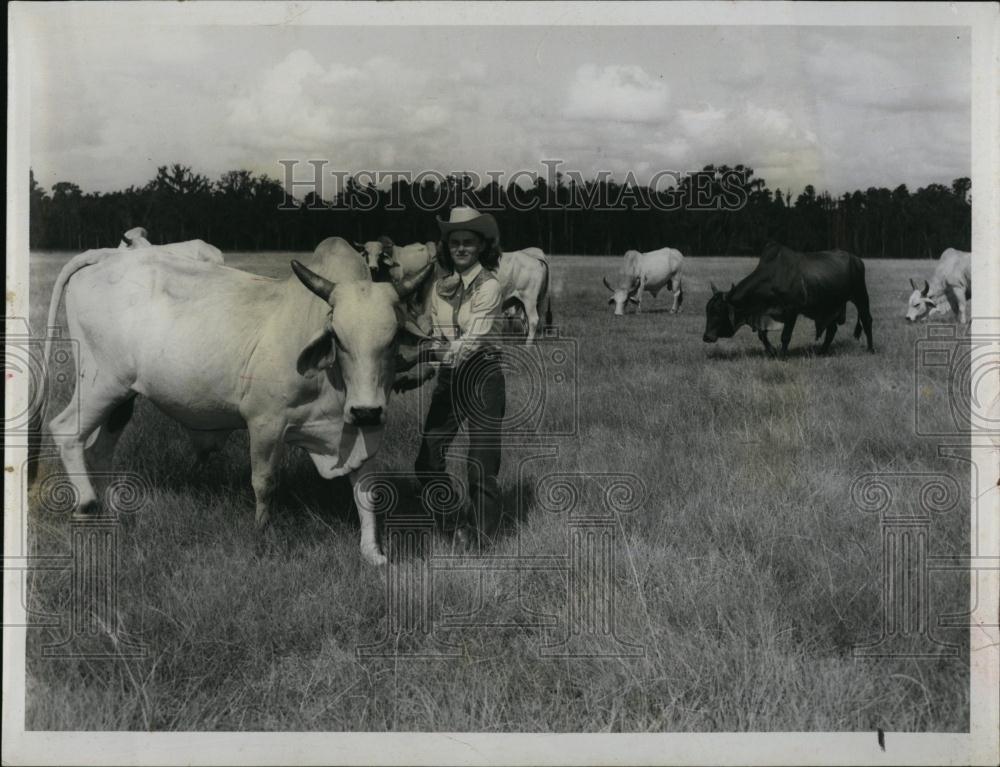 Press Photo Young Cowgirl Working on the farm with the Cattle - RSL97613 - Historic Images