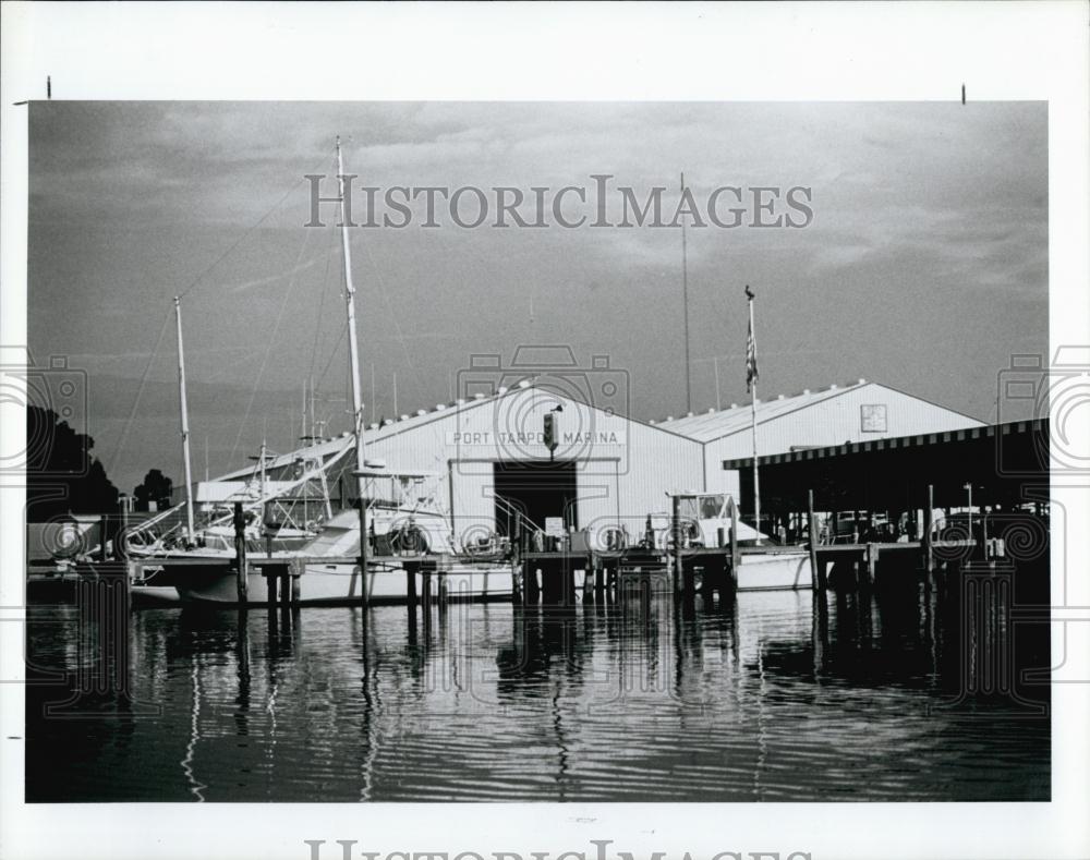 1991 Press Photo Port Tarmen Marina on Anclote River - RSL69099 - Historic Images