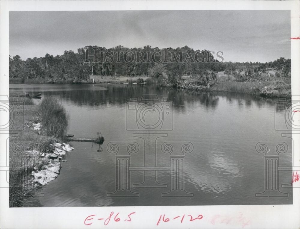 1968 Press Photo Anclote River primitive country - RSL69137 - Historic Images