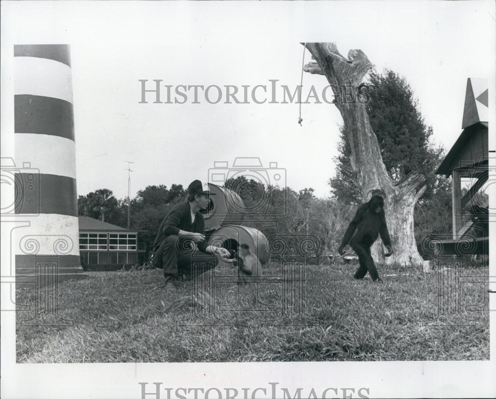 1982 Press Photo Yardarm Restaurant with Monkeys Playing Outside - RSL69323 - Historic Images