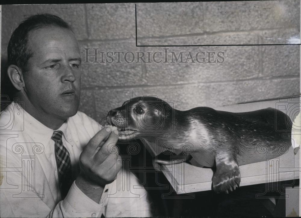 1958 Press Photo Gilbert Merrill of Museum with Baby Seal Found on Beach - Historic Images