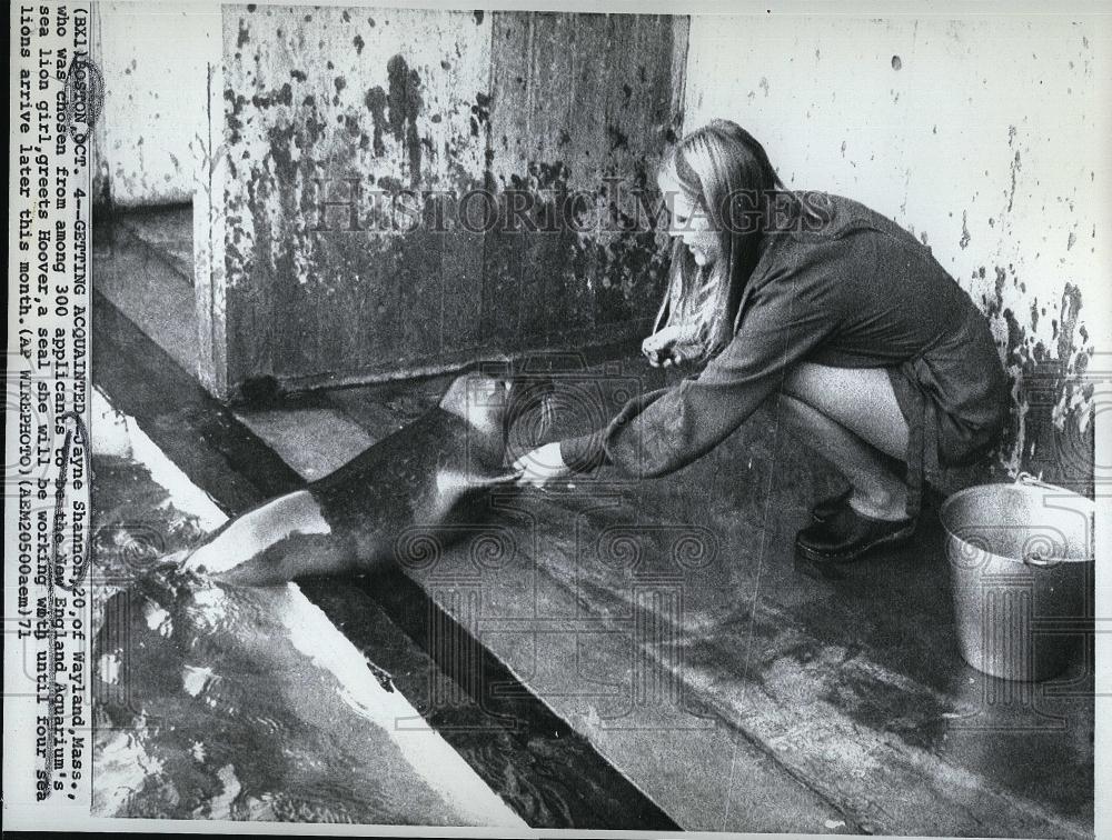 1971 Press Photo Jayne Shannon New England Aquarium greets seal - RSL90681 - Historic Images