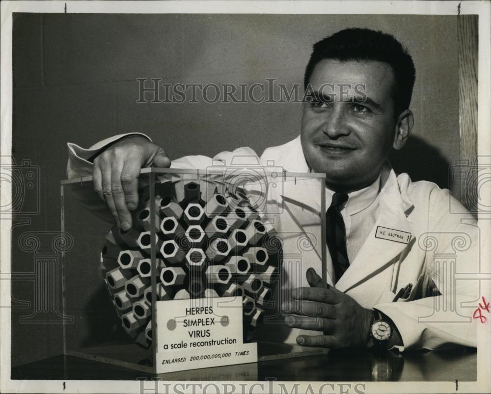 Press Photo Dr Herbert Kaufman w/ mockup model of Herpes Simplex Virus - Historic Images