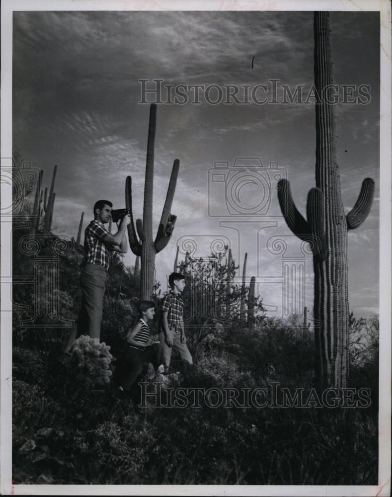 1969 Press Photo Cactus, Desert - RSL93219 - Historic Images