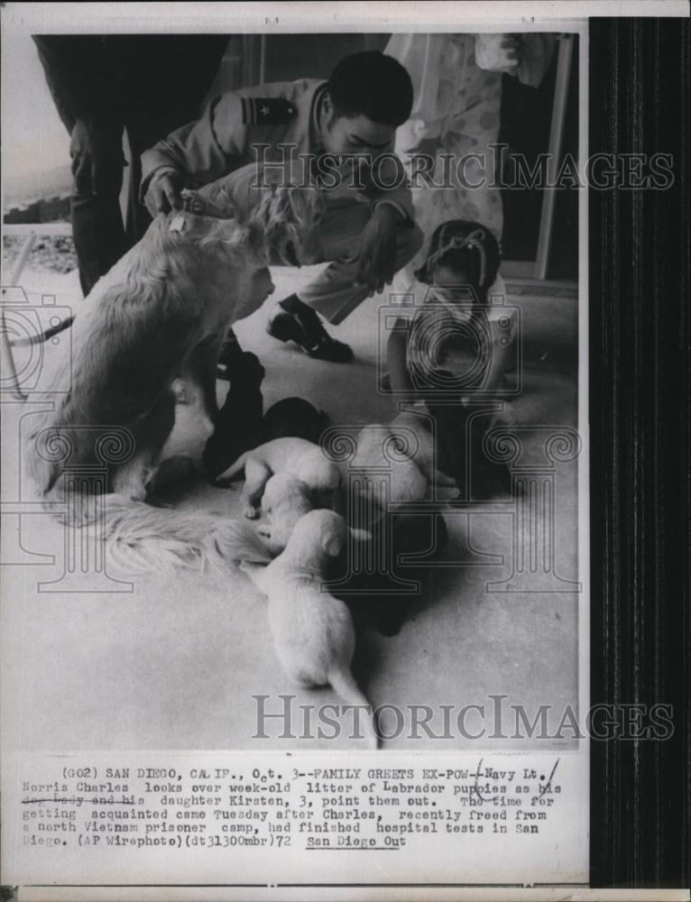 1972 Press Photo Navy lt Norris Charles Litter of Labrador Puppies - RSL93051 - Historic Images