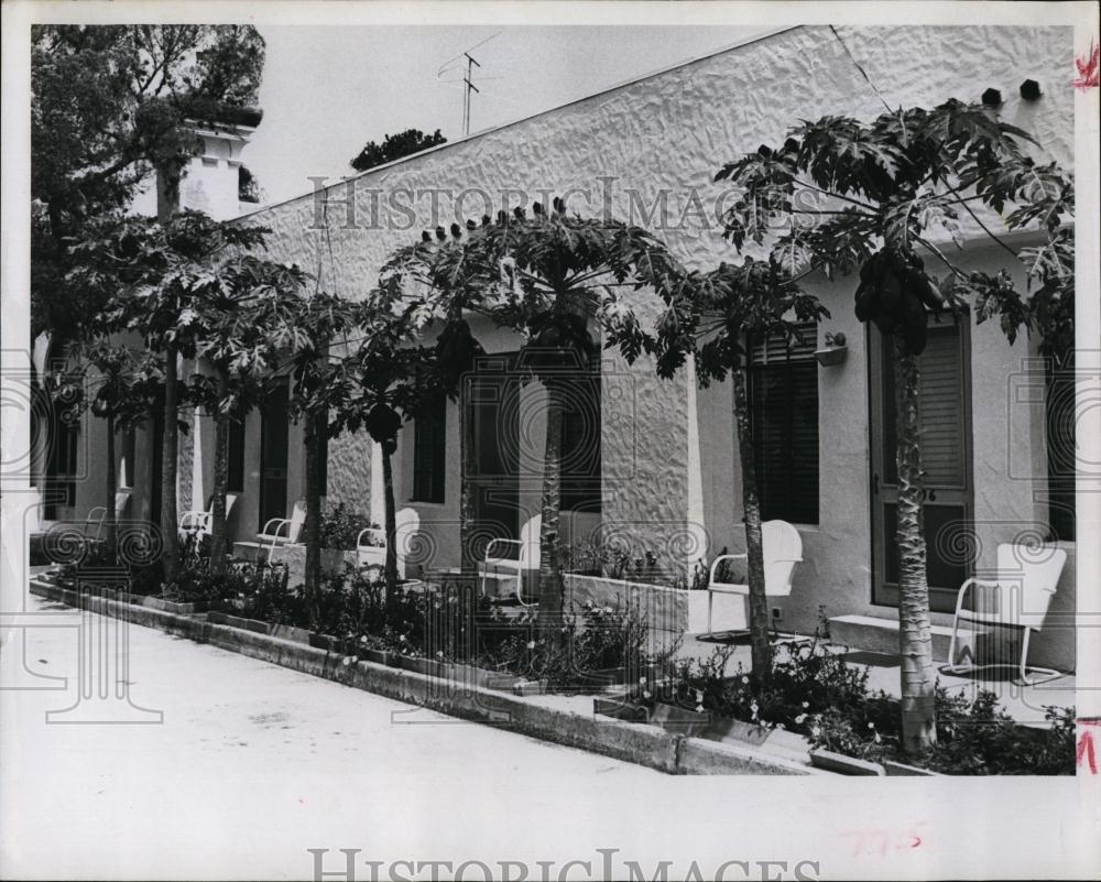 1965 Press Photo Restaurant Jungle Prada owned by Walter Hesser - RSL99655 - Historic Images