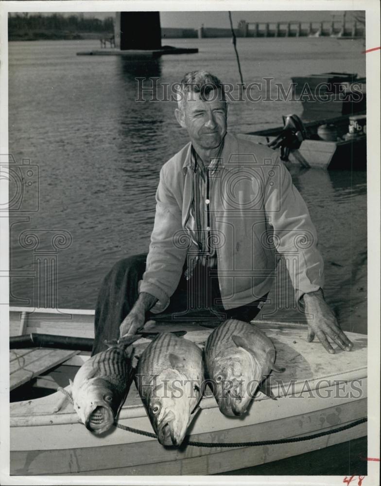 1960 Press Photo Floyd Miller Posing With Striped Bass Fish In Ruff Dam - Historic Images