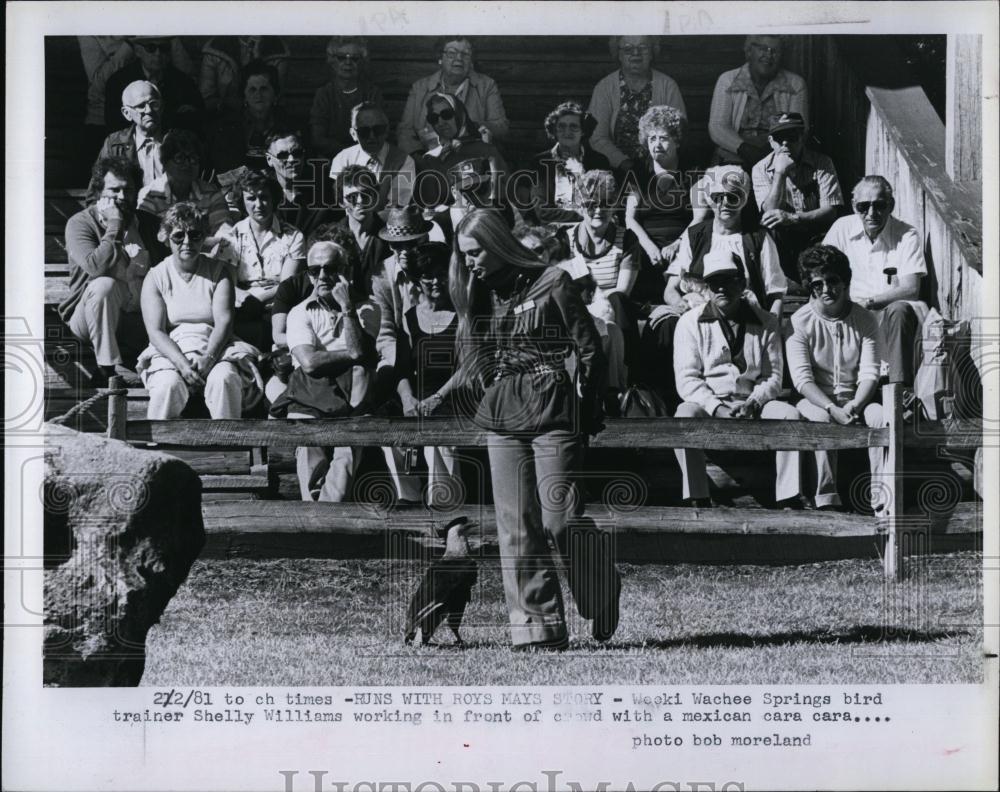 1981 Press Photo Trainer Shelly Williams with Mexican Cara Cara at Weeki Wachee - Historic Images