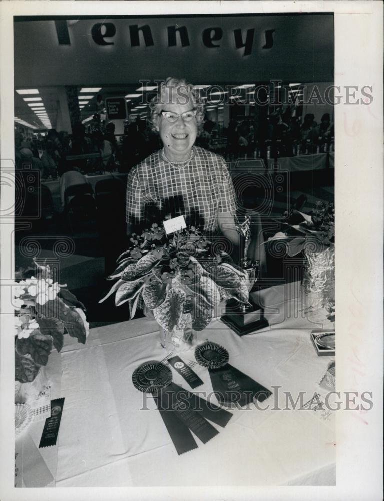 1973 Press Photo Upper Pinellas African Violet Society exhibit - RSL63223 - Historic Images