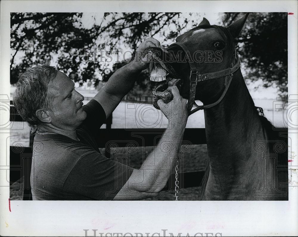 1985 Press Photo Charles Evans Horse Dentist tooth care - RSL96917 - Historic Images