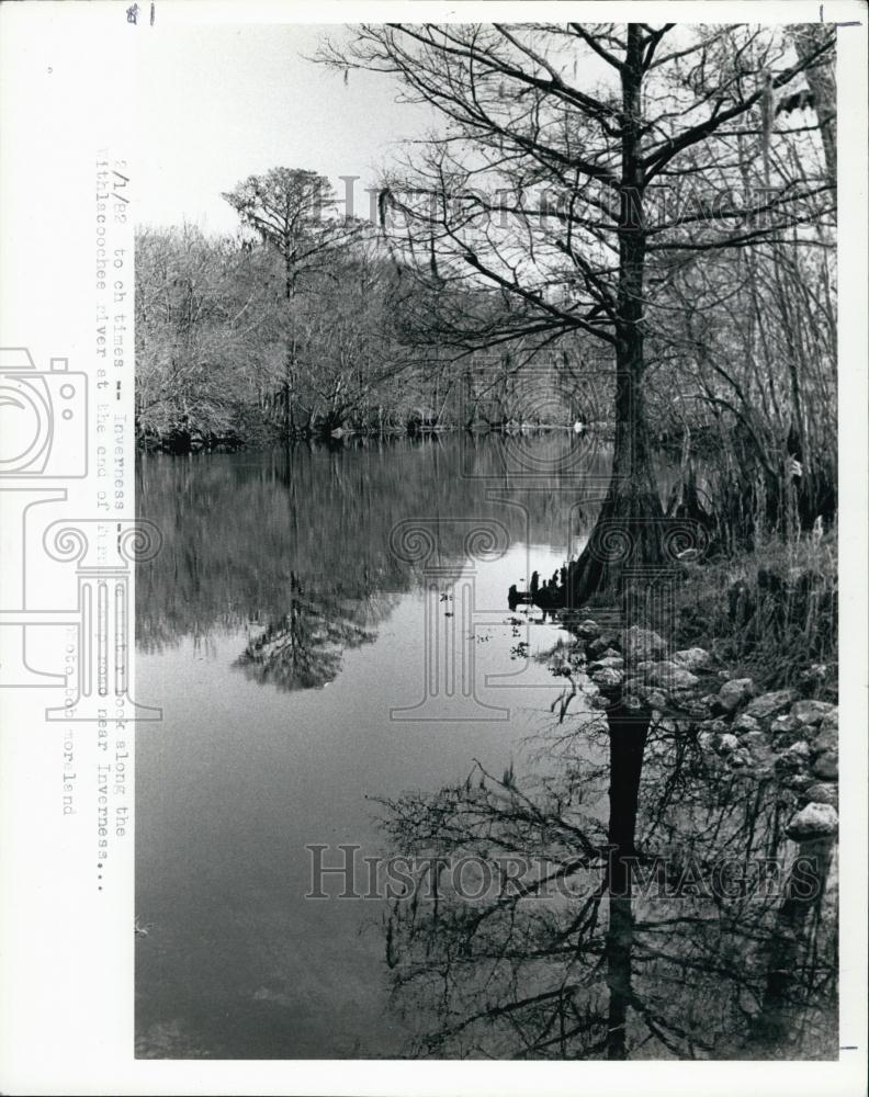 1982 Press Photo Withlacoochee Riverin Florida - RSL65029 - Historic Images