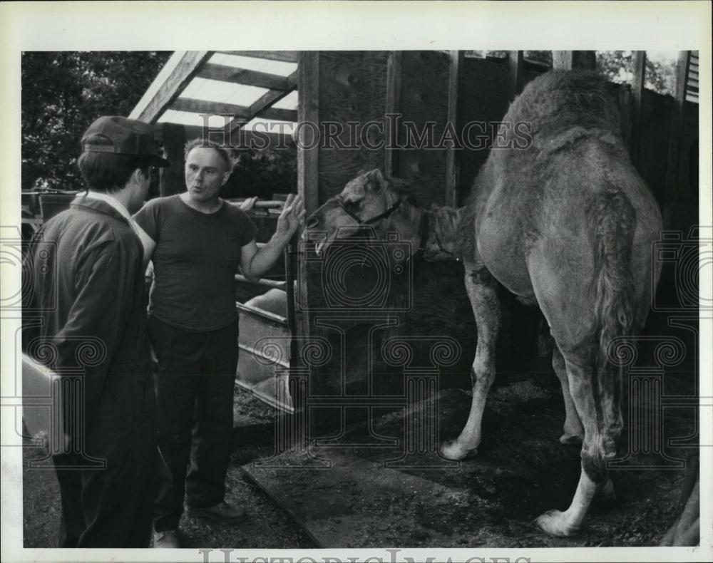 1986 Press Photo Animal Rescue League, Brian Watson, Ed Leonard &amp; a camel - Historic Images