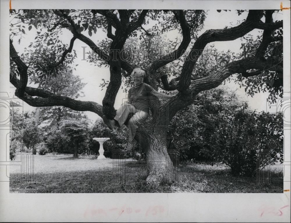 1973 Press Photo Mrs EW Wimmering Erythrina Crisa-Gallii Tree - RSL97887 - Historic Images