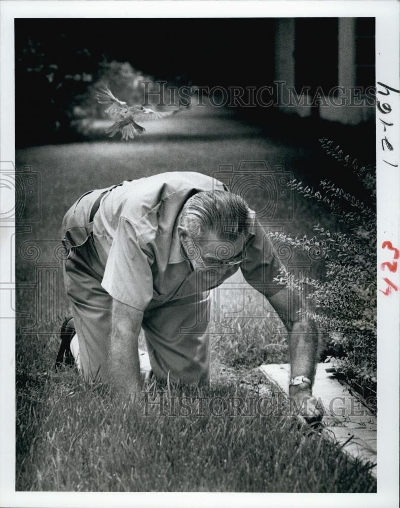 1979 Press Photo Edwin Sulkoswki and attacking redwinged black bird - RSL63363 - Historic Images