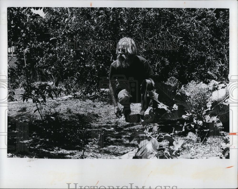 1975 Press Photo Peter Miller in his Florida garden - RSL98695 - Historic Images