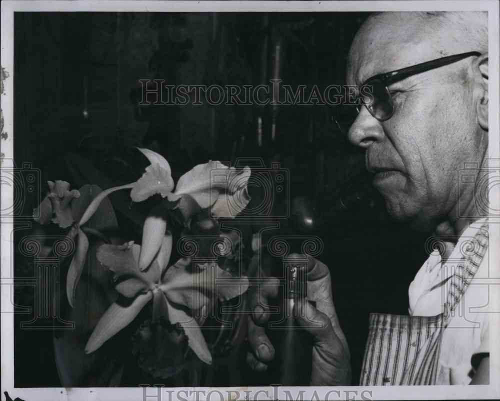 1958 Press Photo Raymond A Perry Orchid growing business - RSL88709 - Historic Images