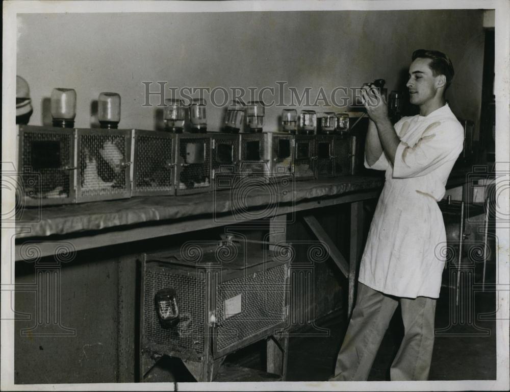 1954 Press Photo Robert Campbell Studies diet Effect on rat - RSL95735 - Historic Images