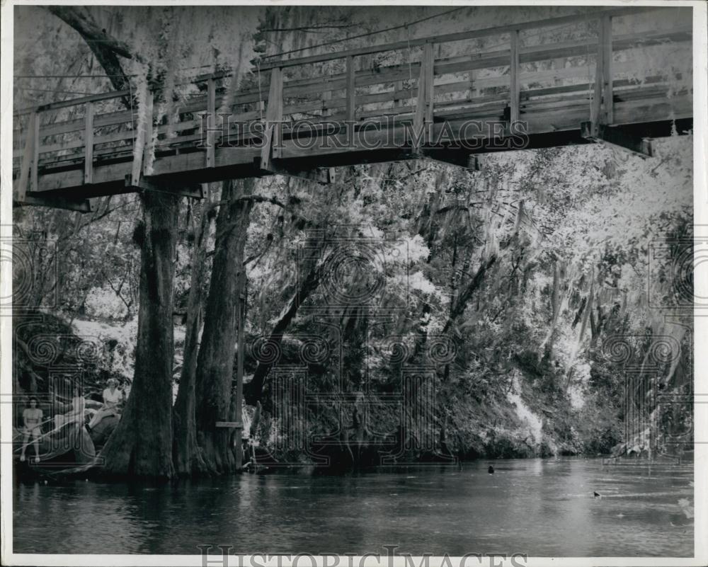 2006 Press Photo A High Bridge Alongside Hillsborough River Connecting To Trails - Historic Images