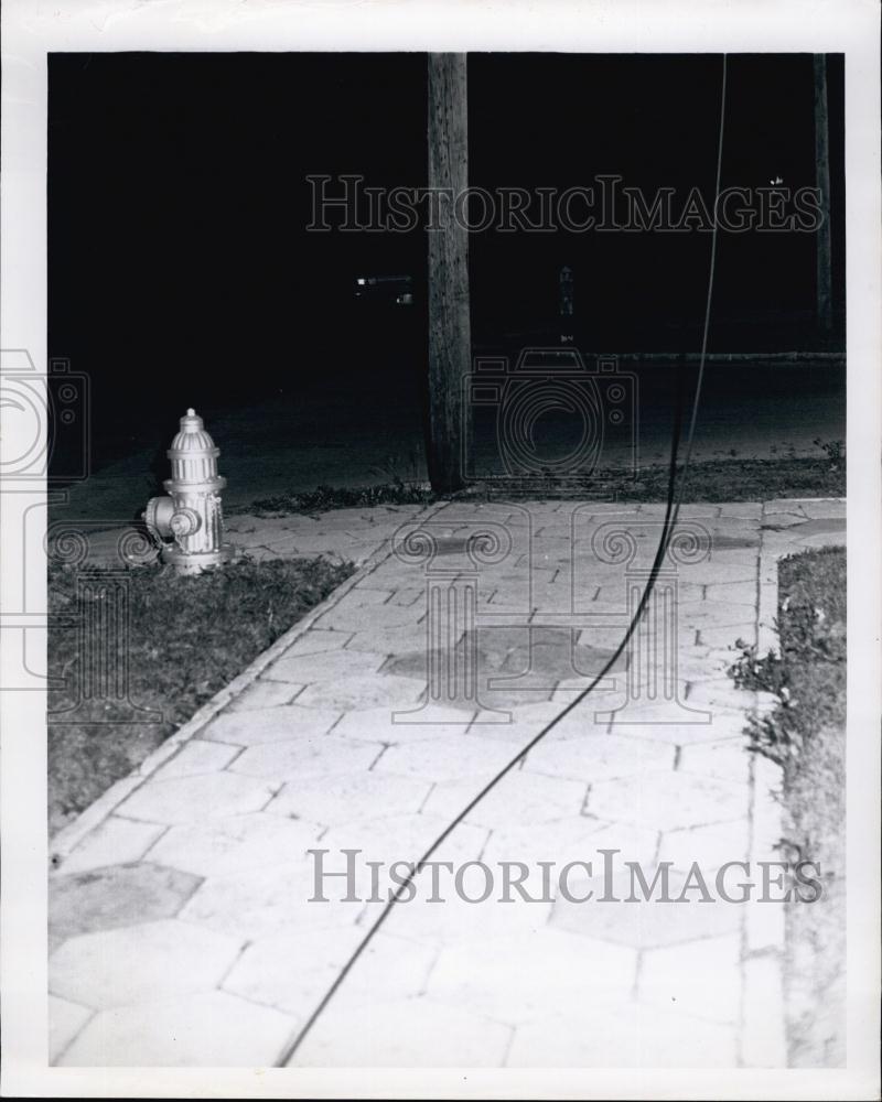 1965 Press Photo Fire Hydrant besides a walkway - RSL64669 - Historic Images