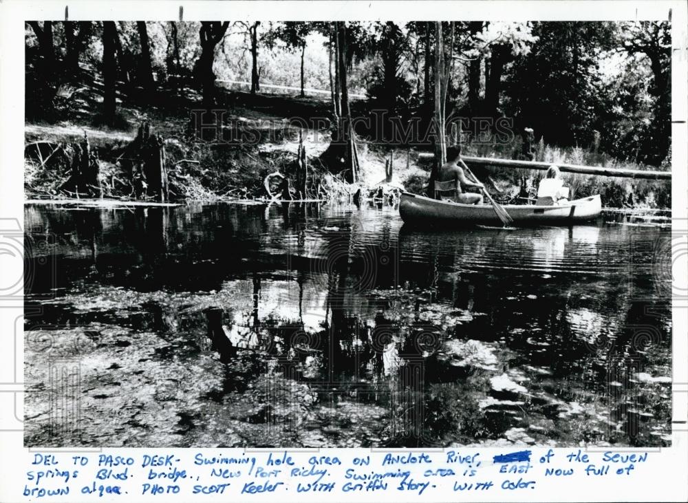 1988 Press Photo Anclote River in Florida with canoeists at the swimming hole - Historic Images