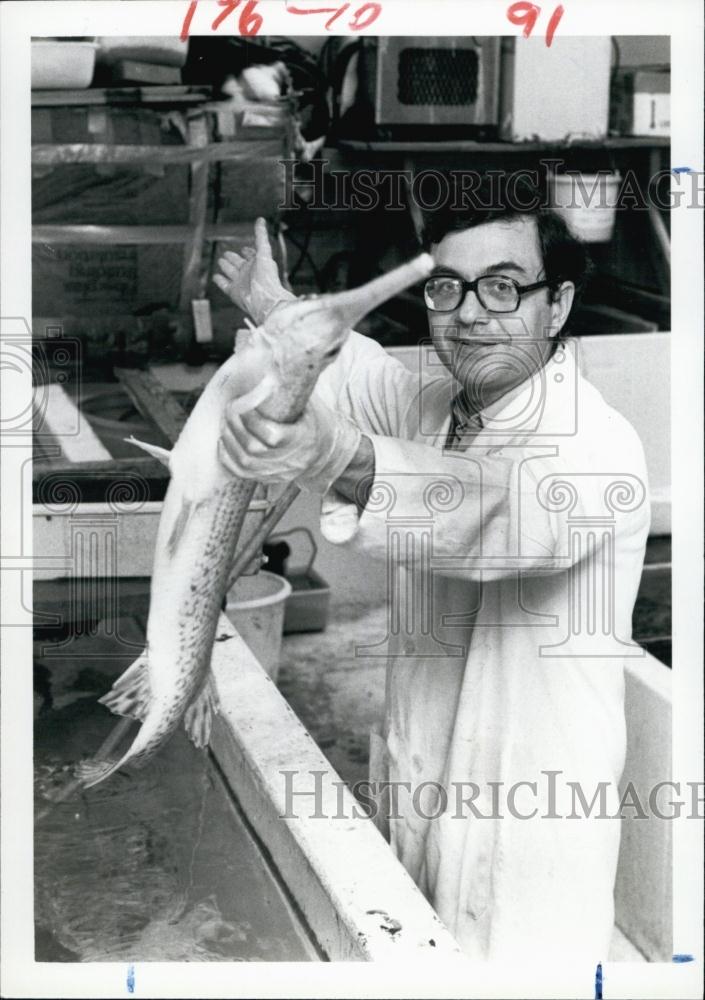 1982 Press Photo Dr Paul Cancalon, Garfish, Psychobiology Research, Florida - Historic Images