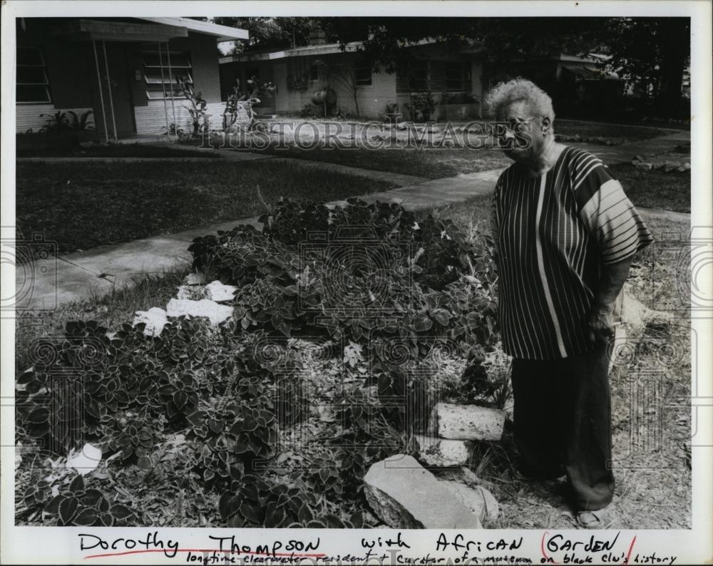 1985 Press Photo Dorothy Thompson of Clearwater in her African Garden, - Historic Images