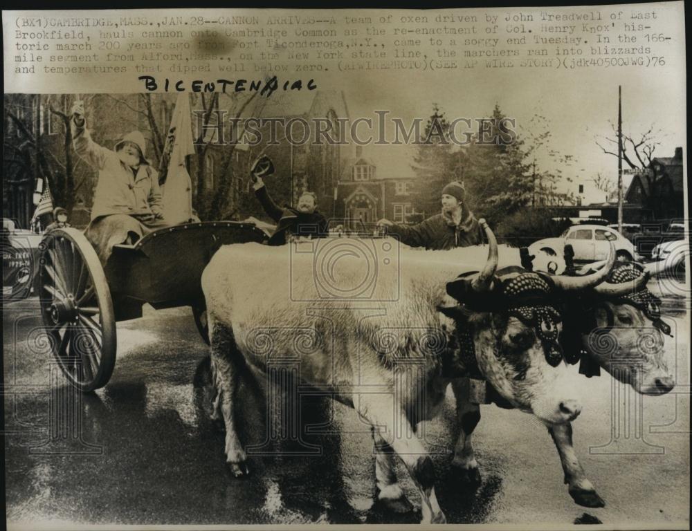 1976 Press Photo Cannon Arrives By Oxen For Henry Knox March Reenactment - Historic Images