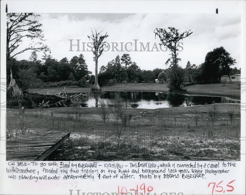 1980 Press Photo Lake Near Withlacoochee River Flooded 1979, Florida - RSL69097 - Historic Images