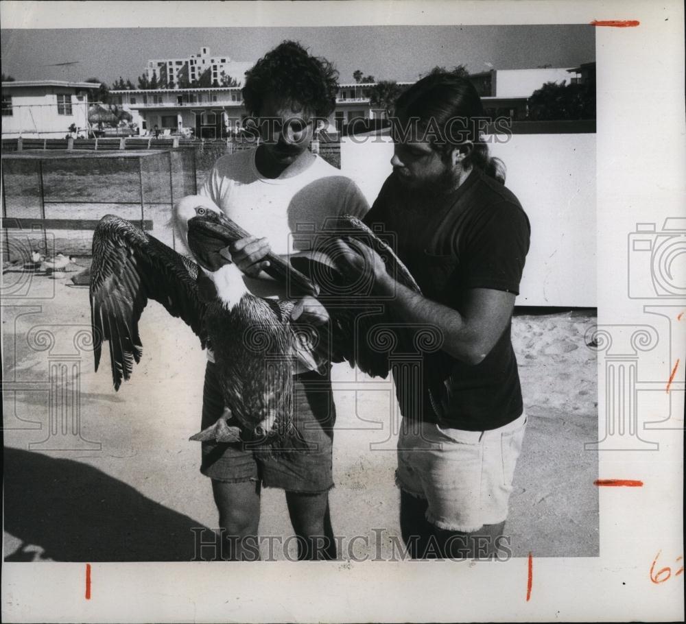 1974 Press Photo Heath Butler hold one-foot pelican - RSL98903 - Historic Images