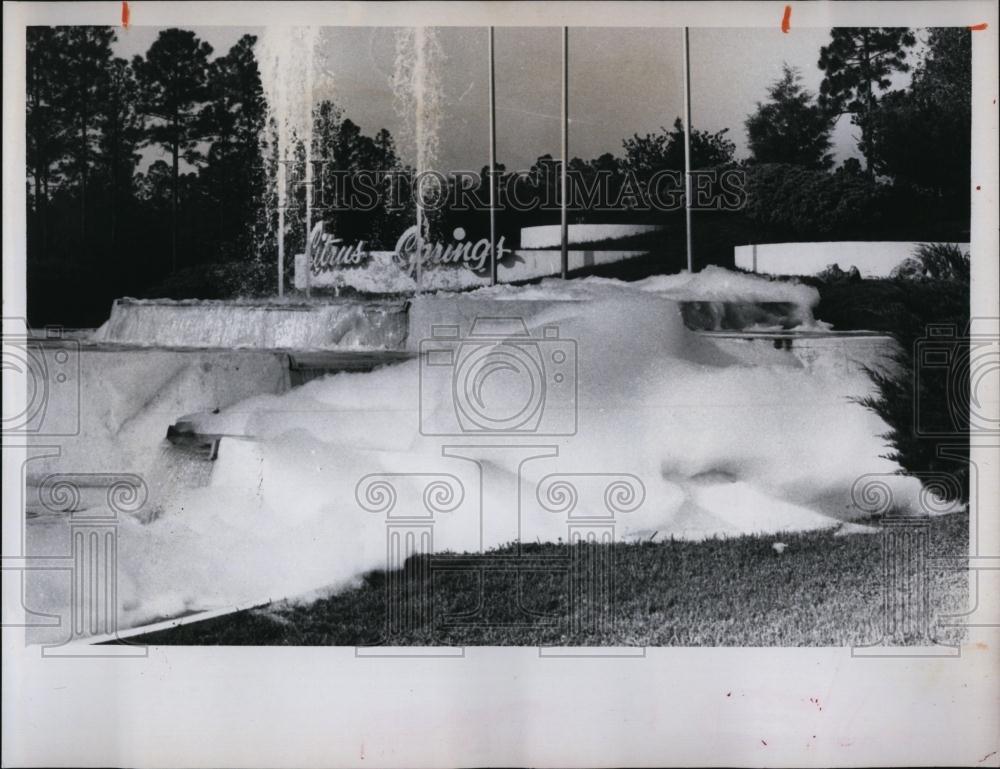 1981 Press Photo Soap thrown on the pool &amp; fountain at Citrus Spring by Vandal - Historic Images