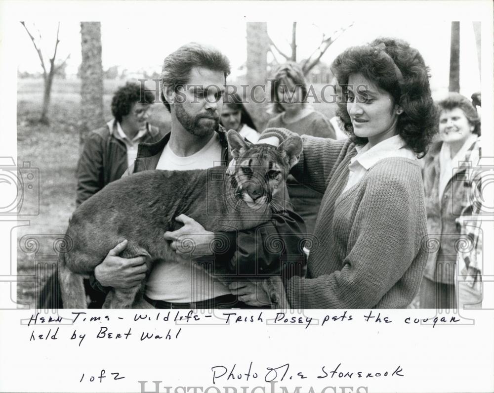 1986 Press Photo Trish Posey pets cougar held by Bert Wahl - RSL68145 - Historic Images