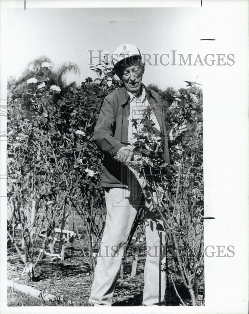 1987 Press Photo George Sturgeon Tends roses in memorial rose garden - RSL63521 - Historic Images