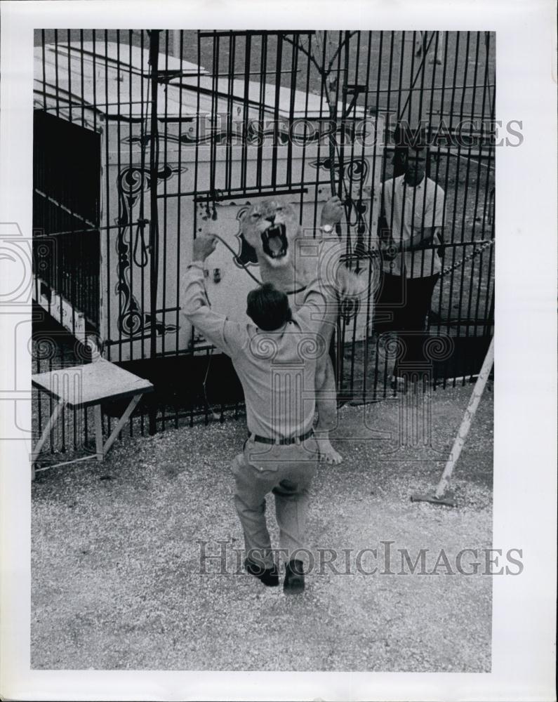 1962 Press Photo Swede Johnson In Lion Cage - RSL61357 - Historic Images