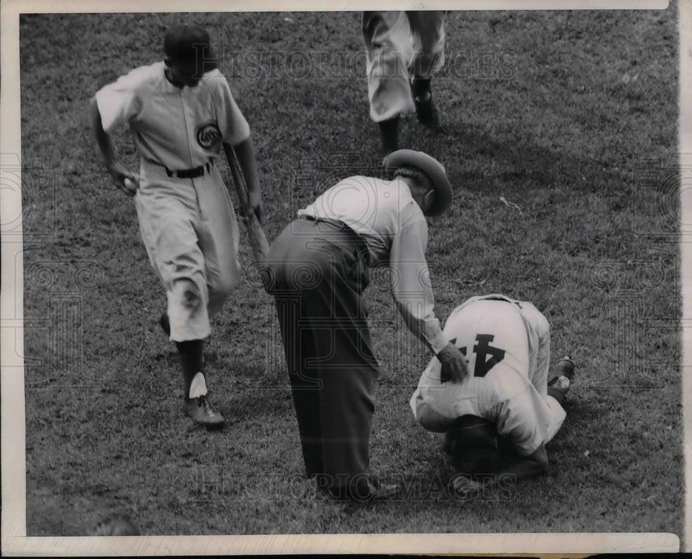 1950 Press Photo Chicago Cubs First Baseman Phil Caveretta Buckles In Pain - Historic Images