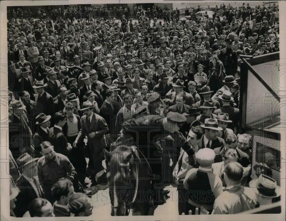 Press Photo Police go through crowds on a horse - nea01778 - Historic Images