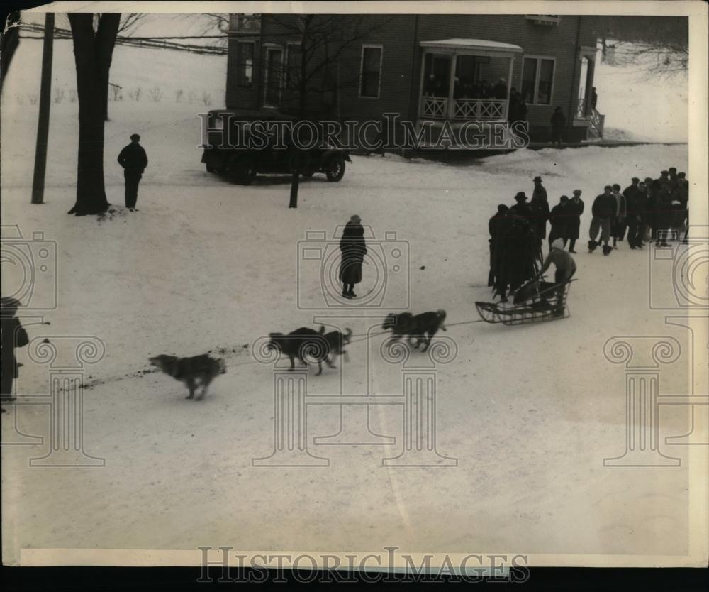 Press Photo Winter dog sled derby participant - nea10580 - Historic Images