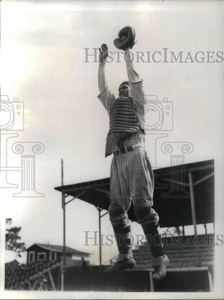 1936 Press Photo Walter Millies Rookie Catcher Brooklyn Dodgers - nea12282 - Historic Images