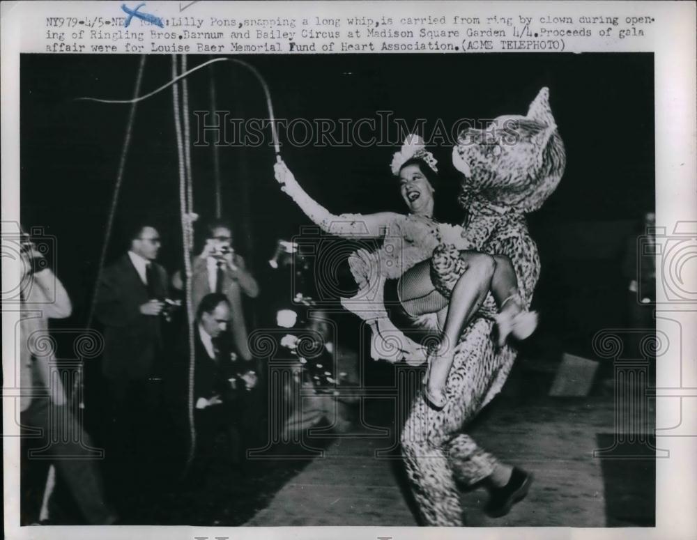 1951 Press Photo Barnum &amp; Bailey Circus at Madison Square Garden - nea17007 - Historic Images