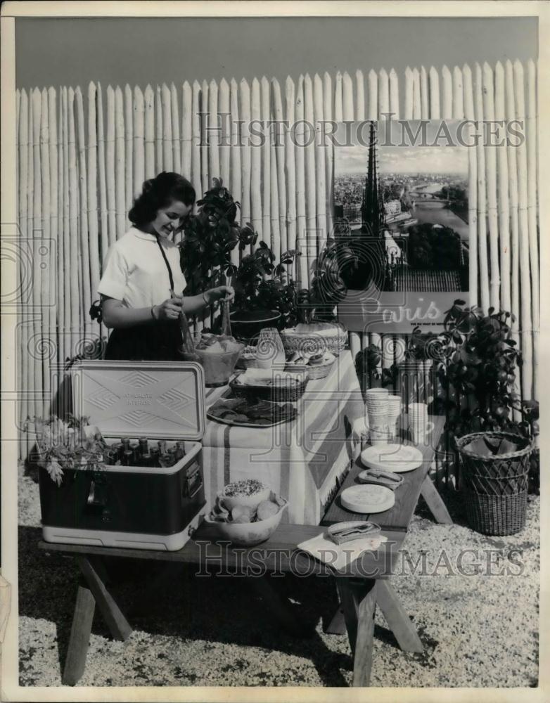 1967 Press Photo Buffett service for a picnic supper - nea17163 - Historic Images
