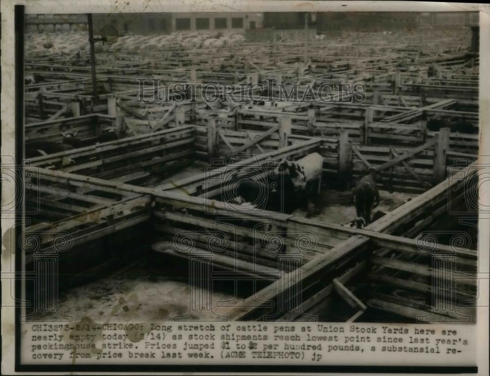 1949 Press Photo Cattle Pens In Union Stock Yards Have Lowest Stock Since Strike - Historic Images