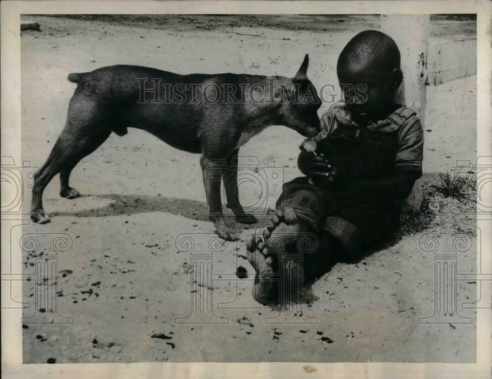 1939 Press Photo Dog Tries To Take Food Away From Boy - nea24934 - Historic Images